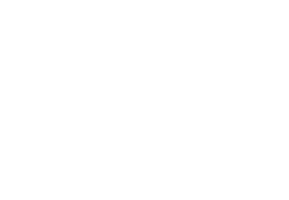 Solo Hair Studio Logo